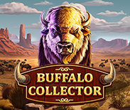 Buffalo Collector